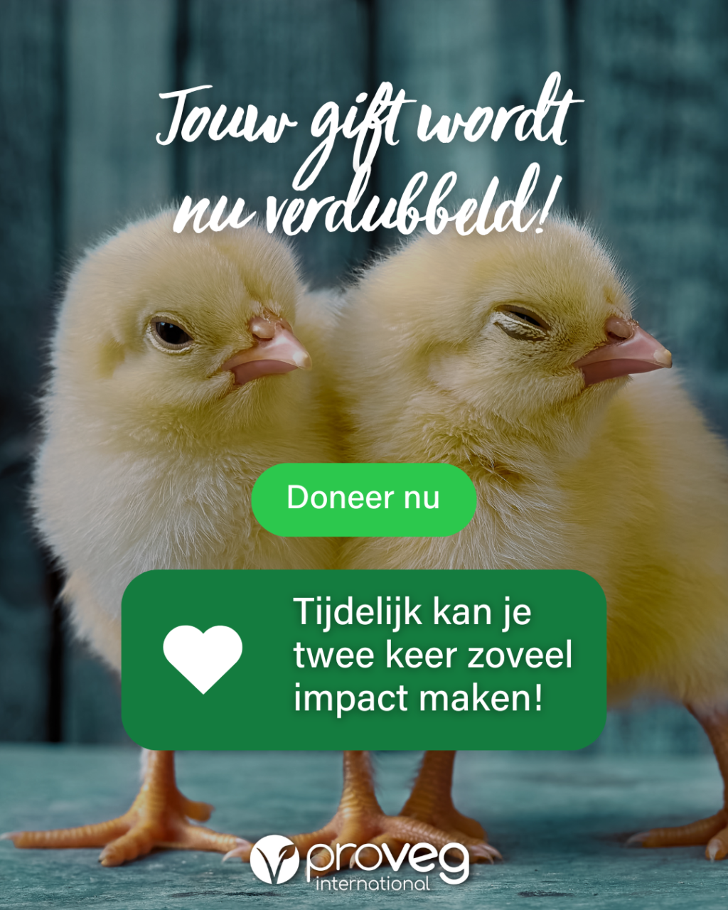 Jouw gift wordt nu verdubbeld!